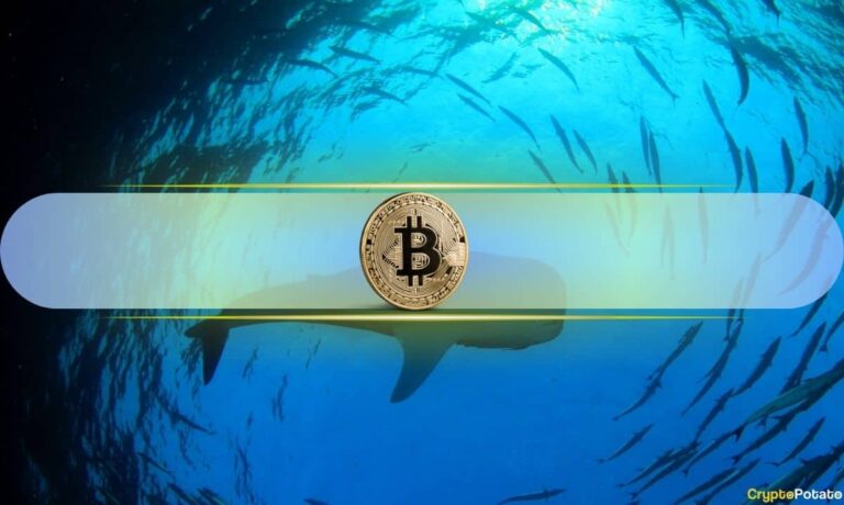 Bitcoin Whales