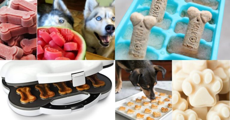 Homemade dog treats recipes Kids Activities Blog fb
