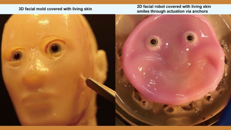 1 Scientists create creepy lifelike faces with real human skin