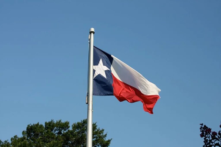 texasflag wikimediacommons