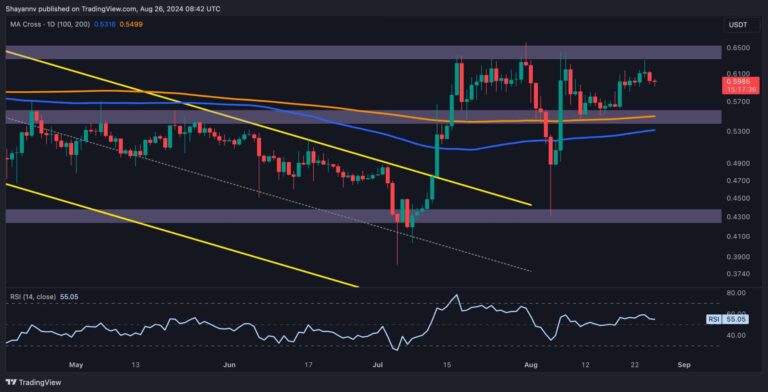 XRP D 4 scaled