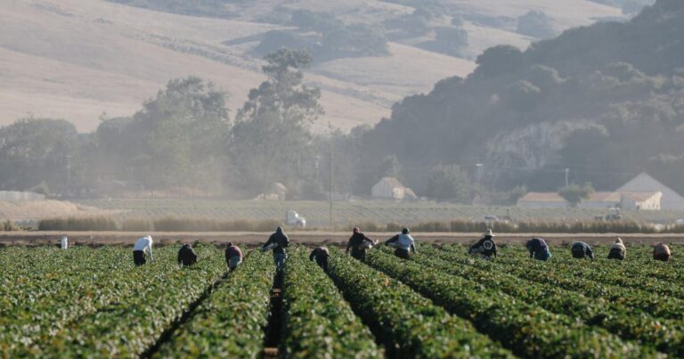 urlhttps3A2F2Fcalifornia times brightspot.s3.amazonaws.com2F512F5b2F2dc9c48640c2be9232ac4f9e14a12F1350763 me mexican doctors treating farmworkers day1 20