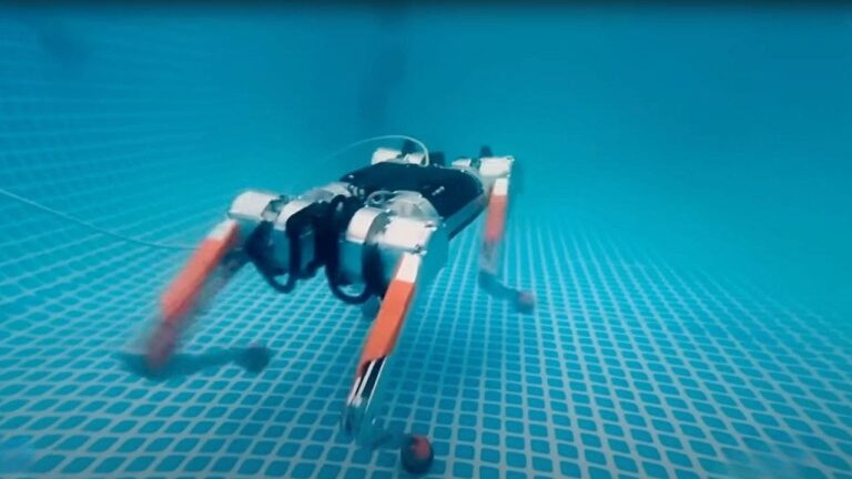 1 robot dog is making waves with its underwater skills