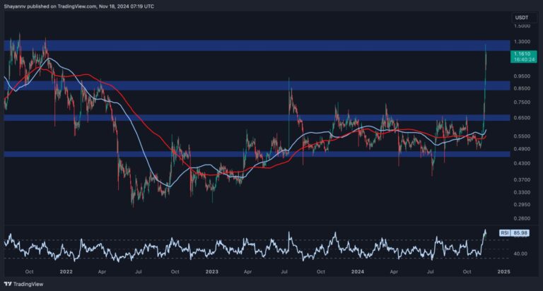 XRP D 3 scaled