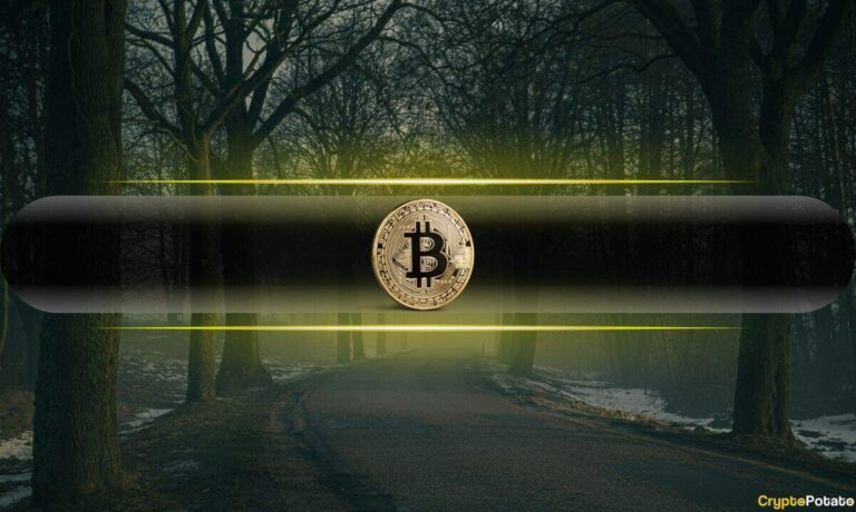 Bitcoin Darkness