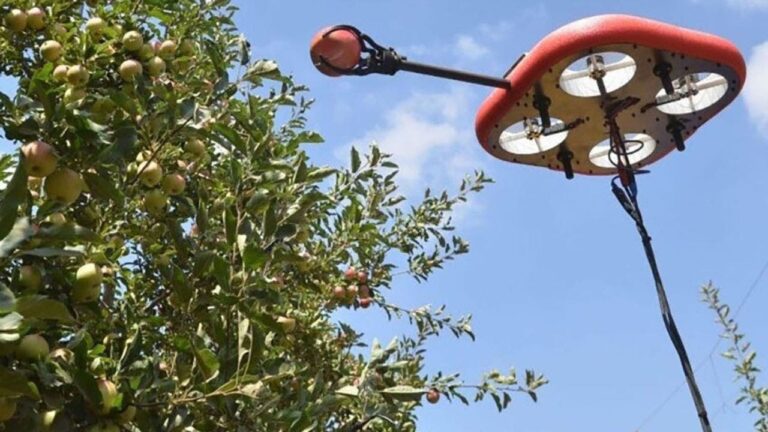 1 robotic and drone tech make fruit picking and handling easier