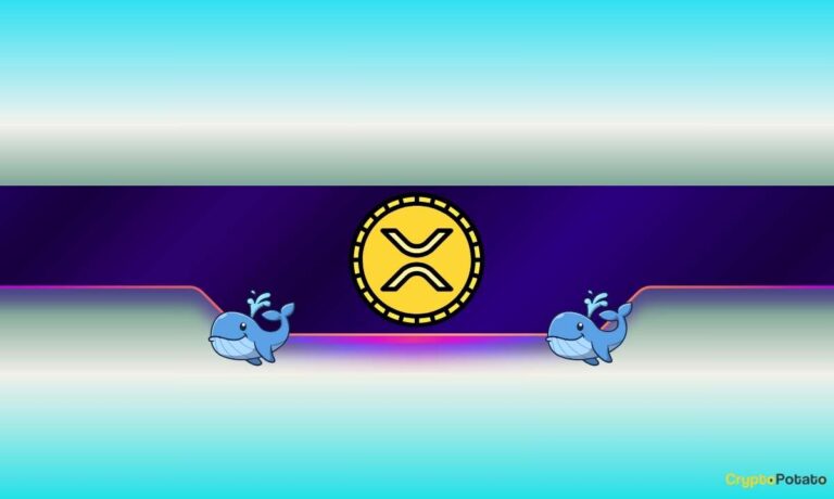 XRP CB 14